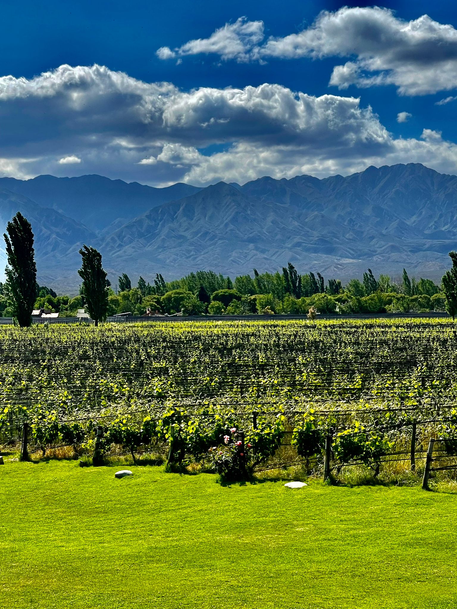 ČILE IN ARGENTINA