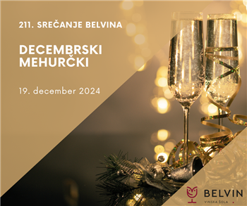 211. srečanje Belvina - DECEMBRSKI MEHURČKI